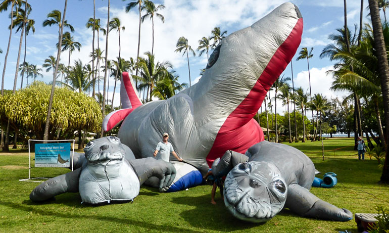 Artist's 15m creations spreading environmental messages around the world Evelyn's seals in Hawaii.