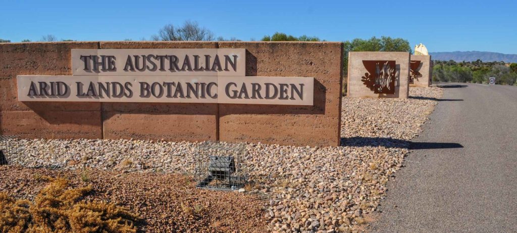 Blog2000px Australian Arid Lands Botanic Gardens 1600x720 1