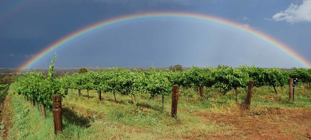 Riverland wine gems sparkle in London Blog2000px d25bf8 40c1065d5a394fb3a95ca071a13b9277 1600x720 1