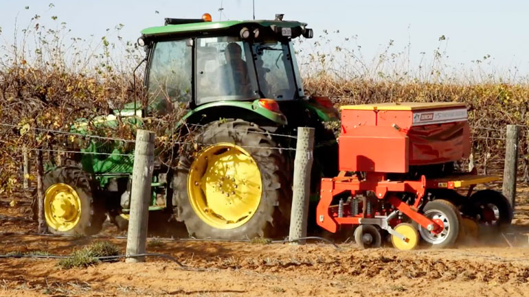 Vignerons monkey business Blog770px-Monkey Vignerons 5