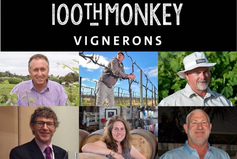 Vignerons monkey business Blog770px-Monkey Vignerons1