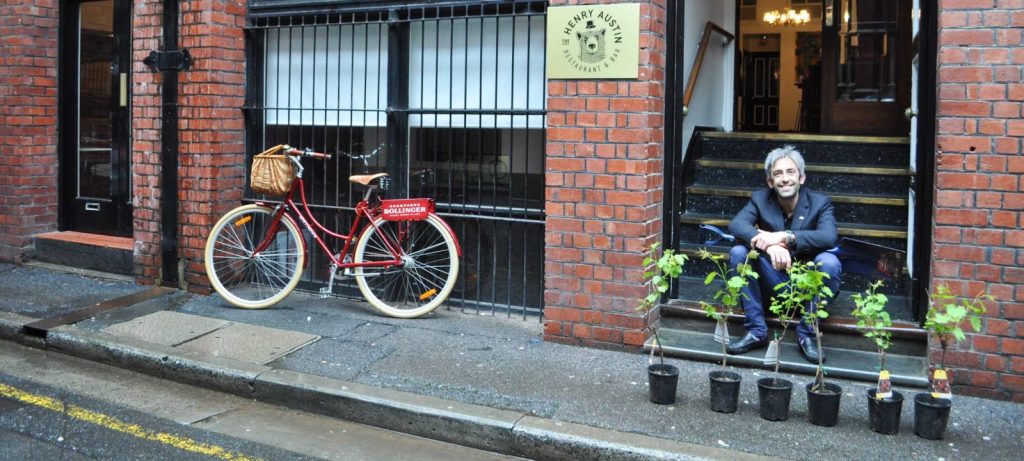 Blog2000px header vines 1600x720 1