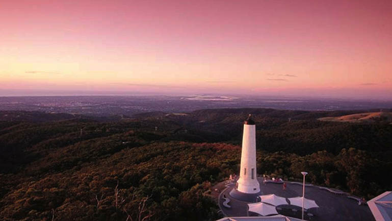 Blog770px MtLoftySummit