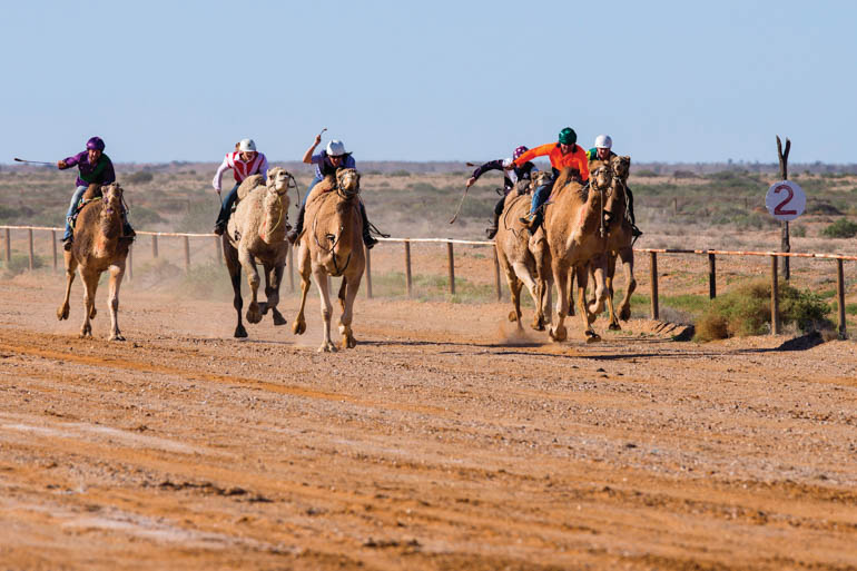 World's largest outdoor art gallery on the cards for outback SA