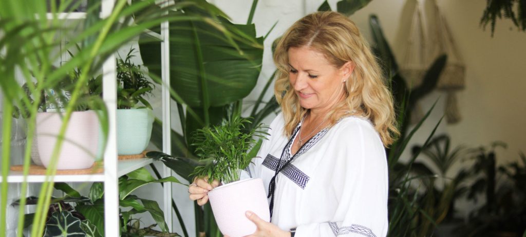 5 tips on growing indoor plants, with Suci Potted Plants’ Kirrily Hurst Blog2000px SuciFeature1 1600x720 1