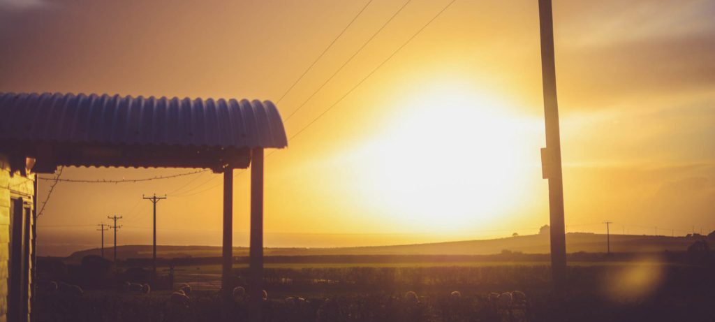 Blog2000px chris lawton unsplash renewables 1600x720 1