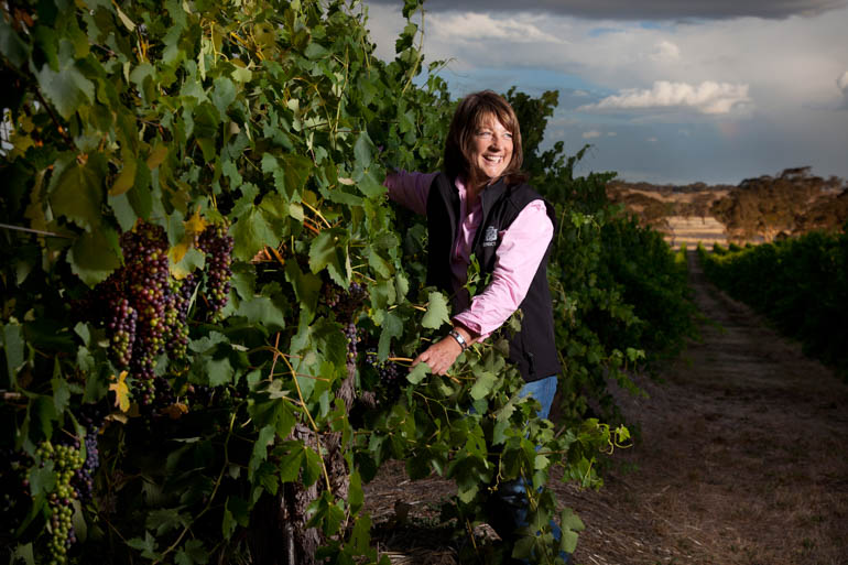 Blog770px Veraison Prue Henschke in Mount Edelstone vineyard photo credit Dragan Radocaj 300dpi