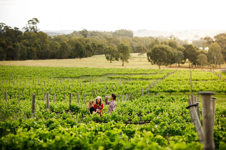 McLaren Vale centre of organic, biodynamic winemaking